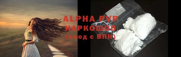 дживик Бородино