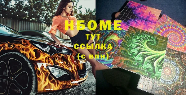 дживик Бородино