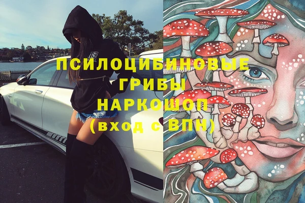 дживик Бородино