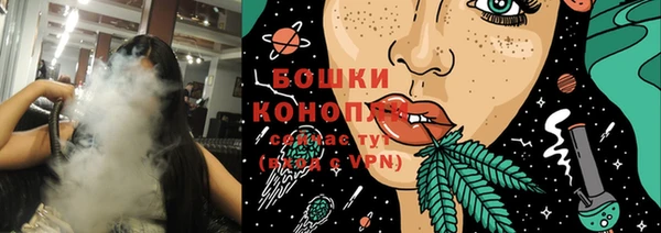 дживик Бородино