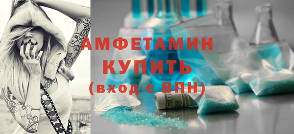 дживик Бородино